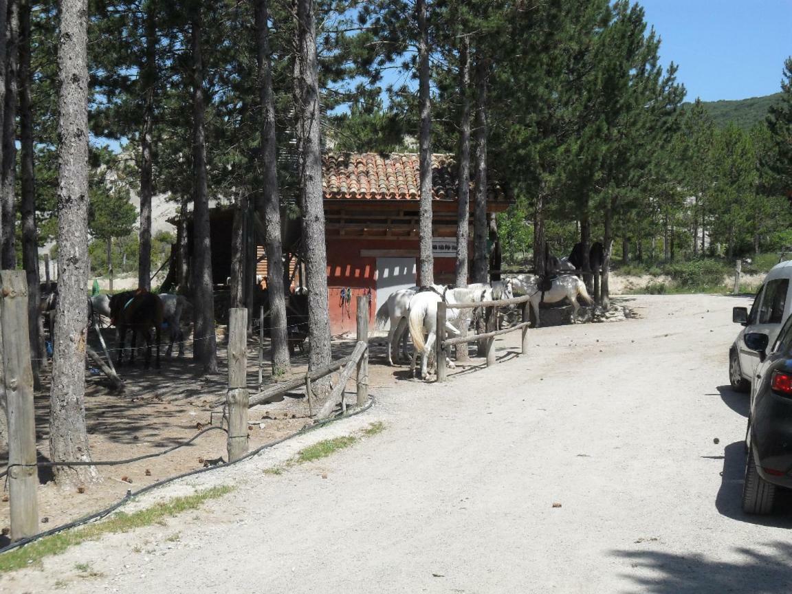 Bienvenidos A Vuestra Casa! Apartment Sansoáin Екстериор снимка
